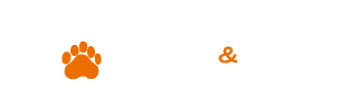 Bull & Bear Academy