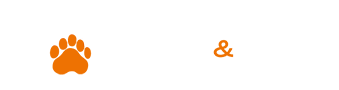 Bull & Bear Academy